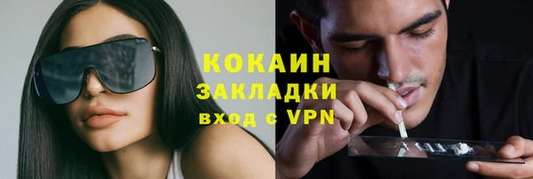 ГАЛЛЮЦИНОГЕННЫЕ ГРИБЫ Алексин